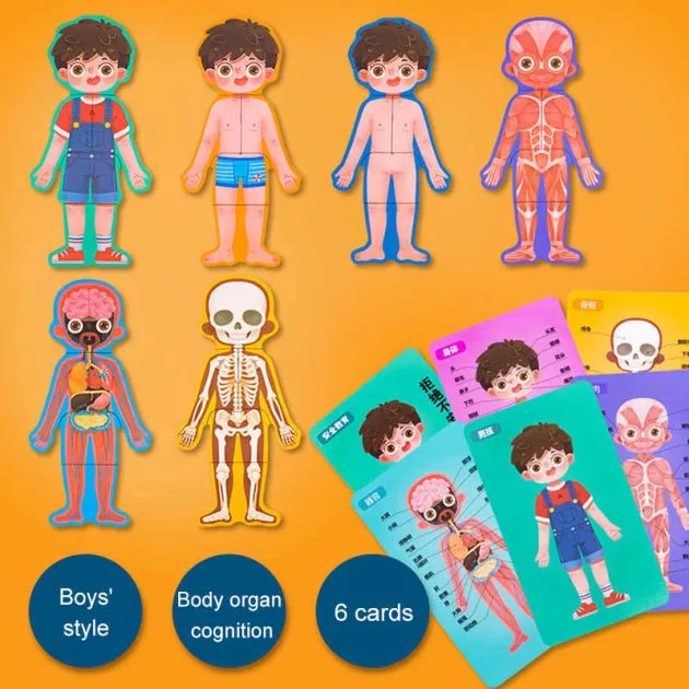 Jeu découverte du corps humain - garçon – Image 7