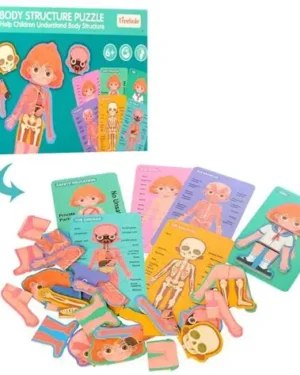 Jeu découverte du corps humain fille Montessori Maroc