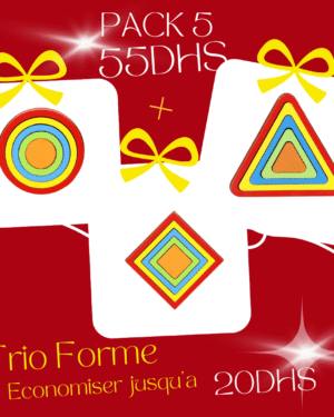 Jeu éducatif en bois TRIO Forme avec triangle, carré et cercle pour enfants