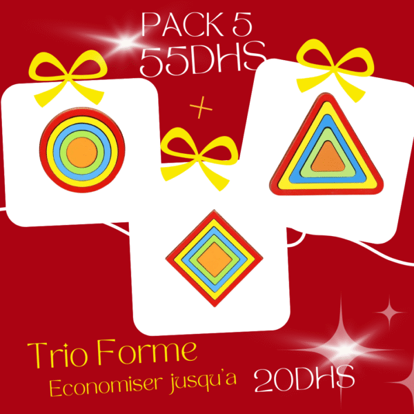 Jeu éducatif en bois TRIO Forme avec triangle, carré et cercle pour enfants